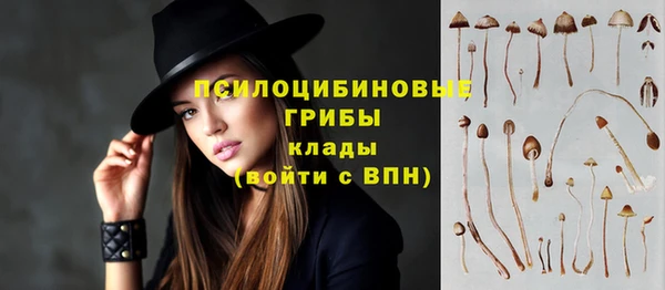 амф Алексин