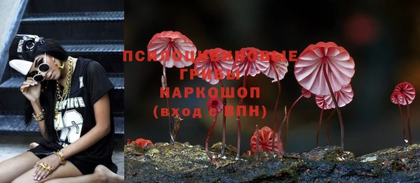 прущая мука Абаза