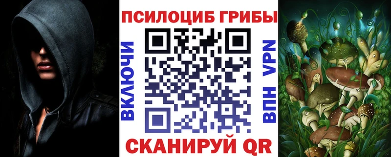 Галлюциногенные грибы Psilocybe  Знаменск 